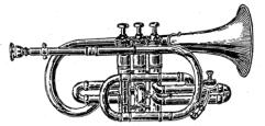 short model traditional cornet image